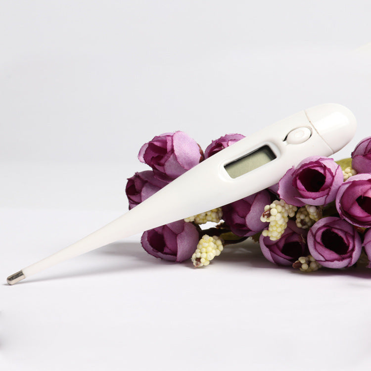 Digital Electronic Thermometer